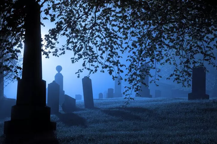 Self-Guided Audio Ghost Tour Through Savannah Shadows - Primary Image