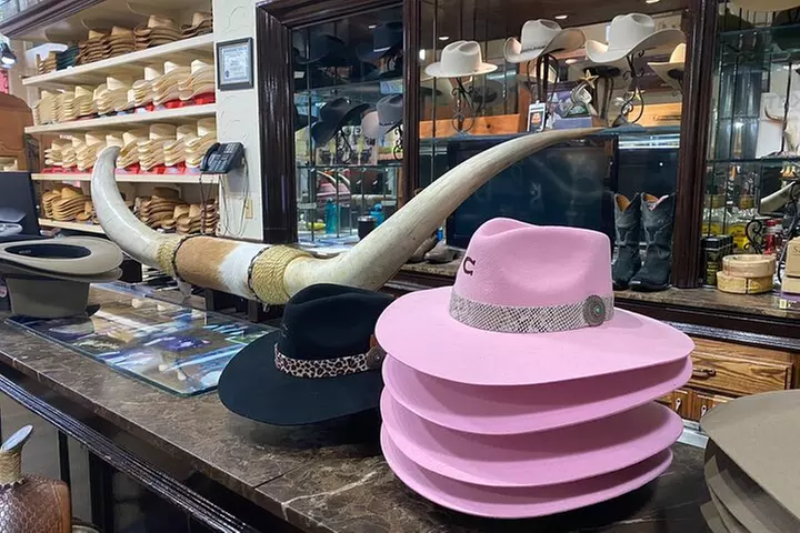 Dallas Highlights Tour