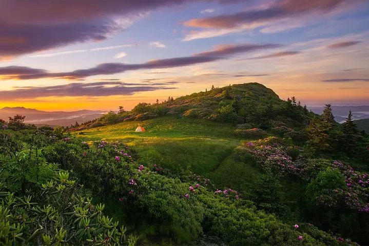 Custom Half-Day Photo Tour with Photography Lessons from Asheville