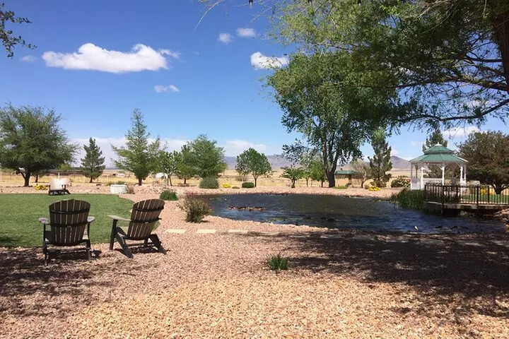 Arizona Winery All-Inclusive Tour with Lunch & Tastings