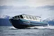 Hoonah Whale-Watching Cruise - Second Medium