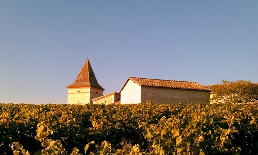 Image 4: Explorez Gaillac Wines Excursion privée d'une demi-journée au dépar...