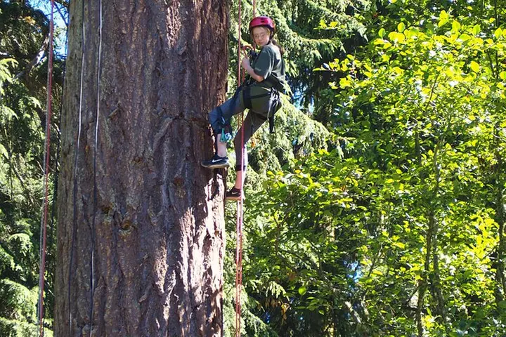 Sunset Canopy Climb on Lopez Island - Second Medium