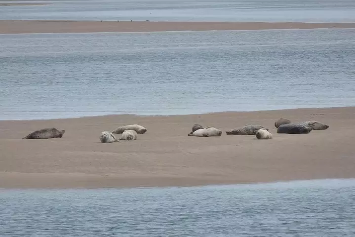 Dunrobin Castle and Glenmorangie Distillery - Local Private Tour