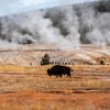 Image 14: ✈ ETATS-UNIS | De Denver à Salt Lake City - Yellowstone, Rocheuses ...