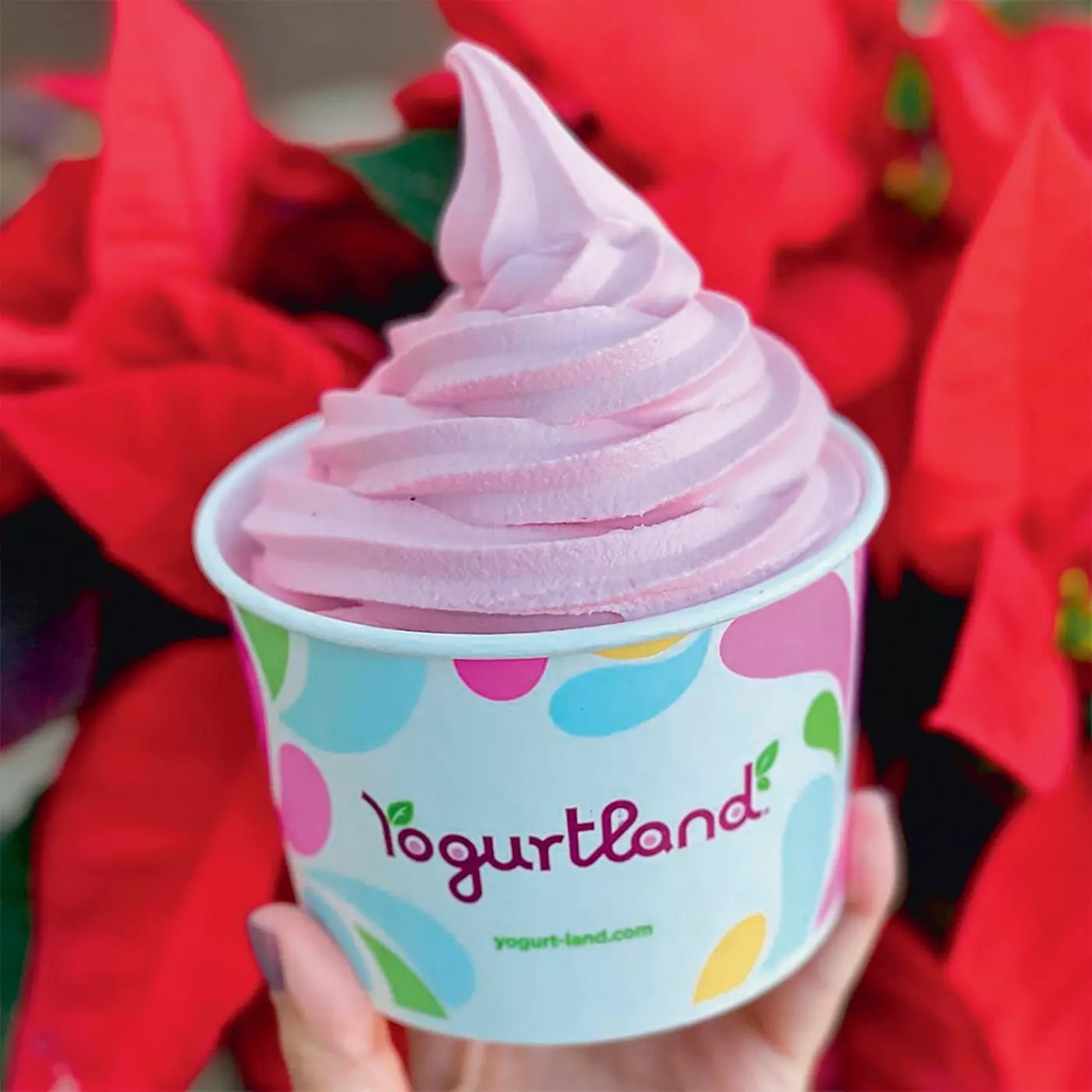$10 For $20 Worth Of Frozen Yogurt & More