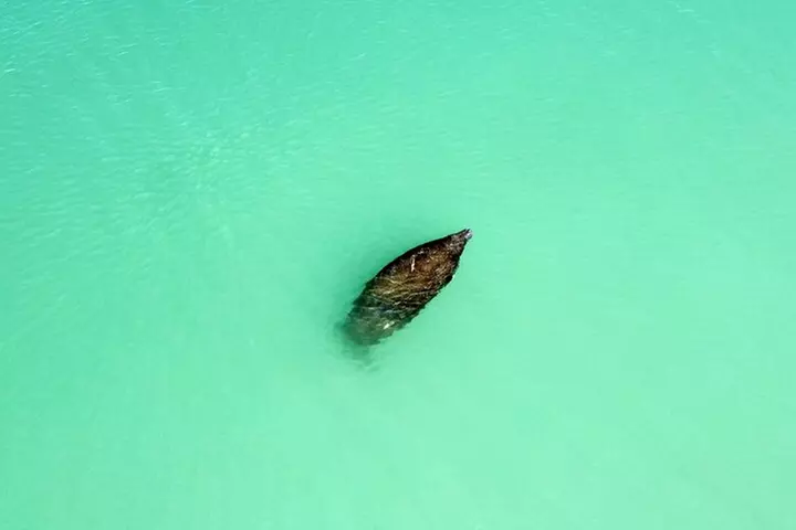 Dolphin and Manatee Adventure Tour of Fort Myers