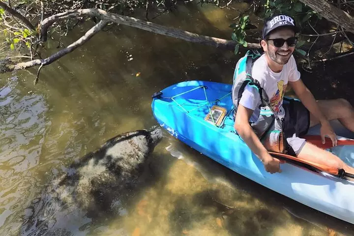 Wildlife Refuge Manatee, Dolphin & Mangrove Kayak or Paddleboarding...