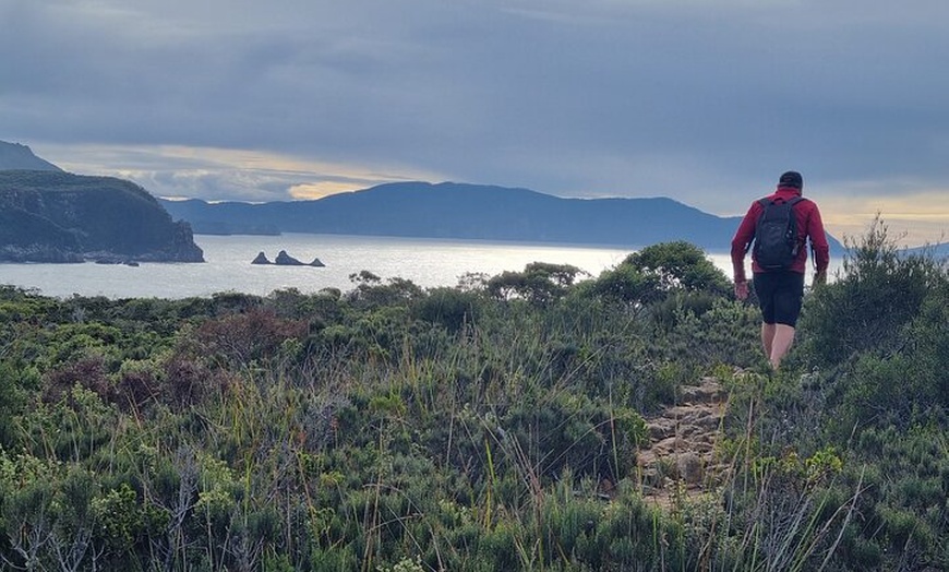 Image 16: Hobart: Cape Hauy Adventure Hike - rugged cliffs & wild beauty