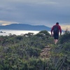 Image 16: Hobart: Cape Hauy Adventure Hike - rugged cliffs & wild beauty