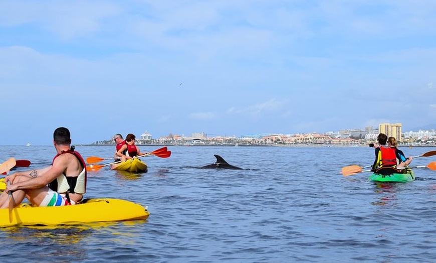 Image 11: Kayak con delfines y tortugas y esnórquel en Tenerife