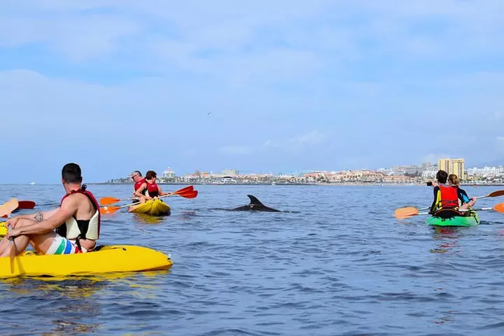Tenerife : Tour en Kayak Tortuga & Delfines con Snorkel & Traje de ...