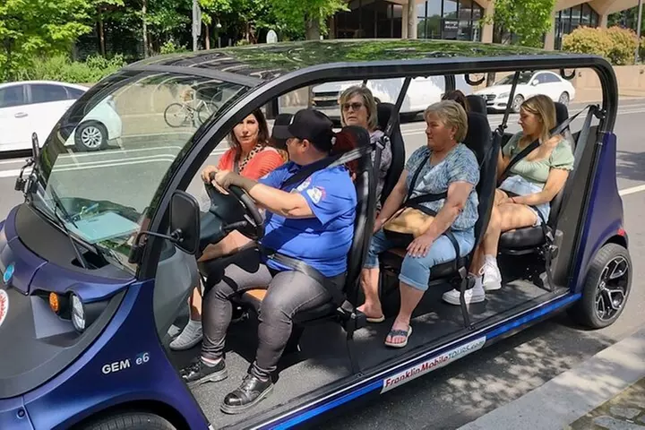 1 Hour Philadelphia Private Guided Tour by Deluxe Electric Car - Primary Image