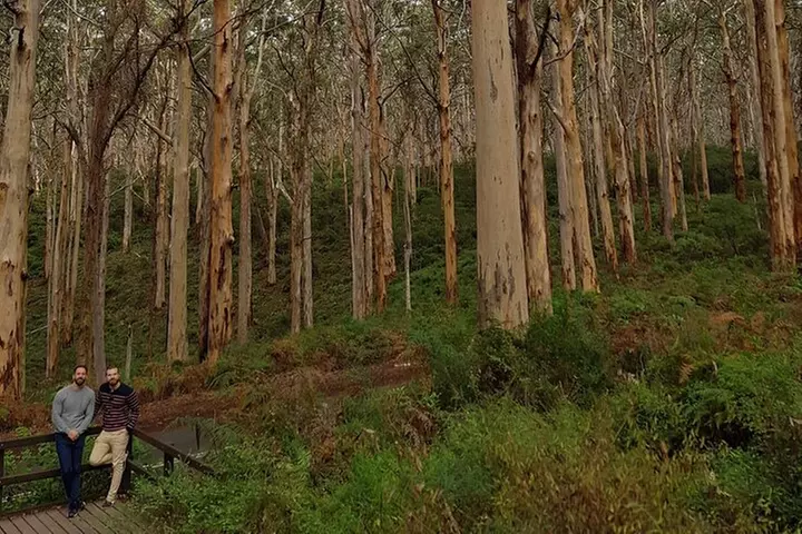 Secret Delights: Curated Wine, Coffee & Forest Experience