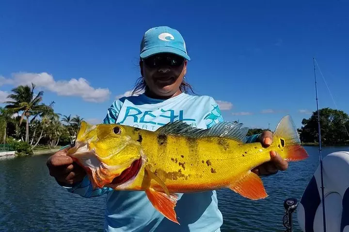 Peacock Bass Fishing Trips Near Miami Florida