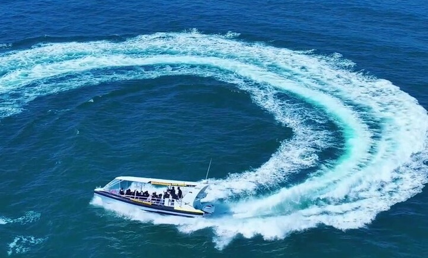 Image 7: Adventure Rafting - Mooloolaba Turtle Tour