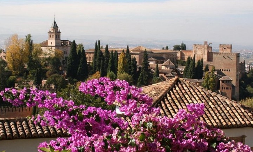 Image 4: Evite las colas Excursión de medio día a la Alhambra y los Jardines...