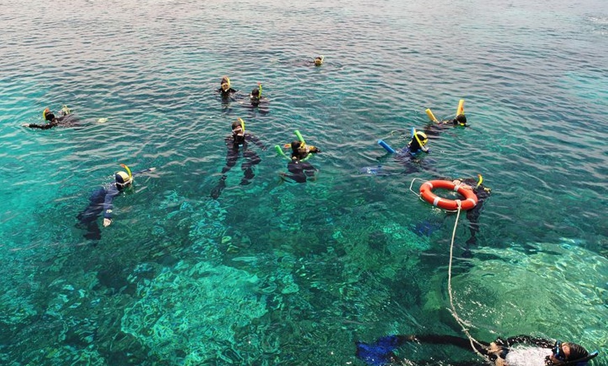 Image 2: Seastar Luxury Outer Great Barrier Reef Island and Reef Tour