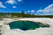 Full Day Private Wildlife/Geyser Tour from West Yellowstone - Second Medium