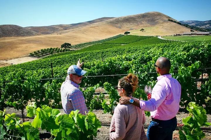 Small-Group Wine Tasting Tour of Santa Barbara Wine Country