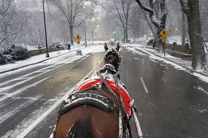 Full loop Private Horse Carriage Ride in Central Park 45 Minutes