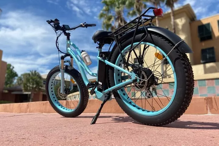 Viator Exclusive: Go eBike Alaska on Tony Knowles Trail