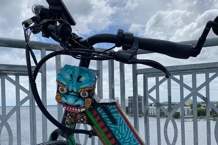 Electric Bike Art and Architecture Guided Tour in Jacksonville