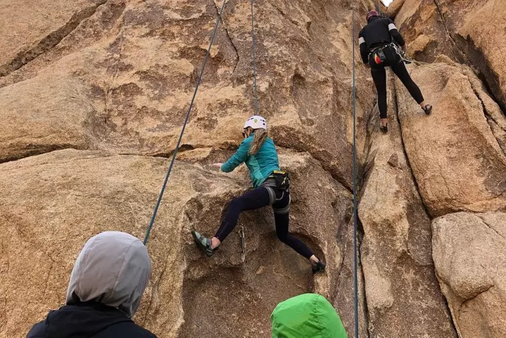 Beginner Group Rock Climbing in Joshua Tree National Park