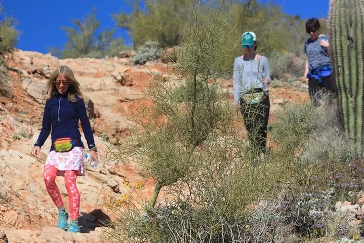 Amazing 2-Hour Guided Hiking Adventure in Phoenix, Arizona
