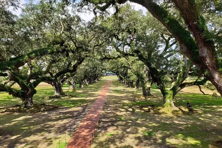 Oak Alley or Laura Plantation Tour from New Orleans