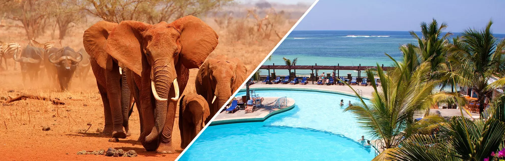 ✈ KENIA | Diani Beach - Kombireise Leopard Beach Resort & Elefantensafari 4*, 7 Nächte - Safari - Primary Image