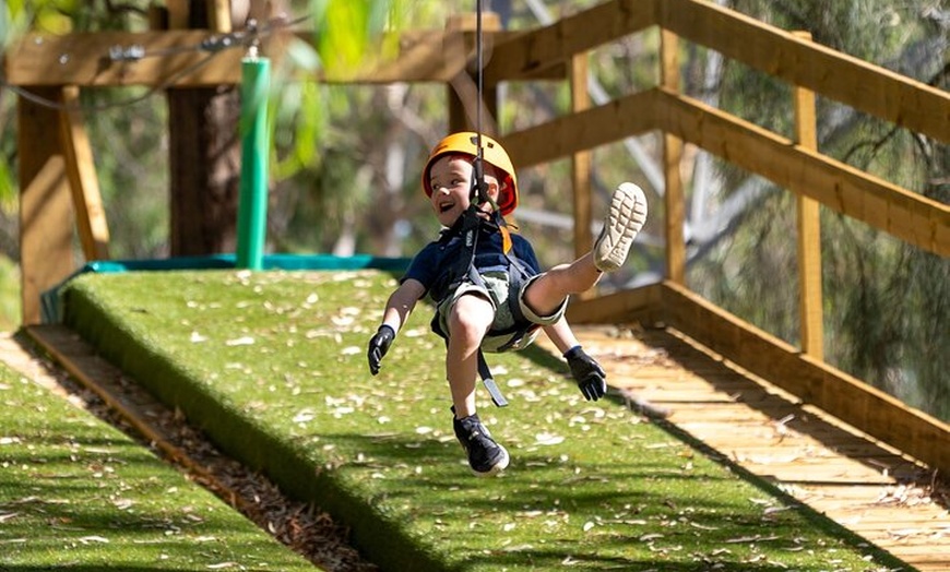 Image 3: Aerial Fun & Ziplining for Our Littlest Adventurers in Salisbury