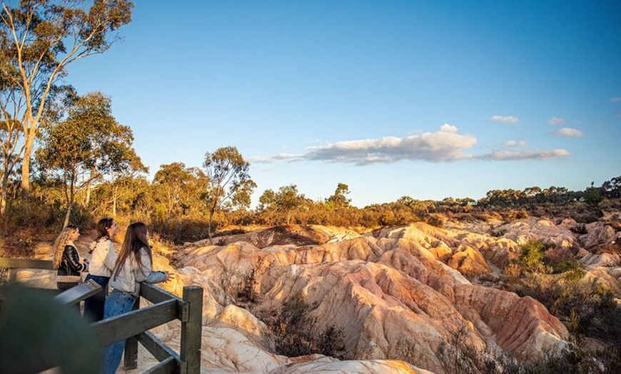 Image 9: Murray River Cruise and Wildlife Adventure Private Tour