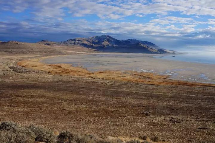 Great Salt Lake Wildlife Experience
