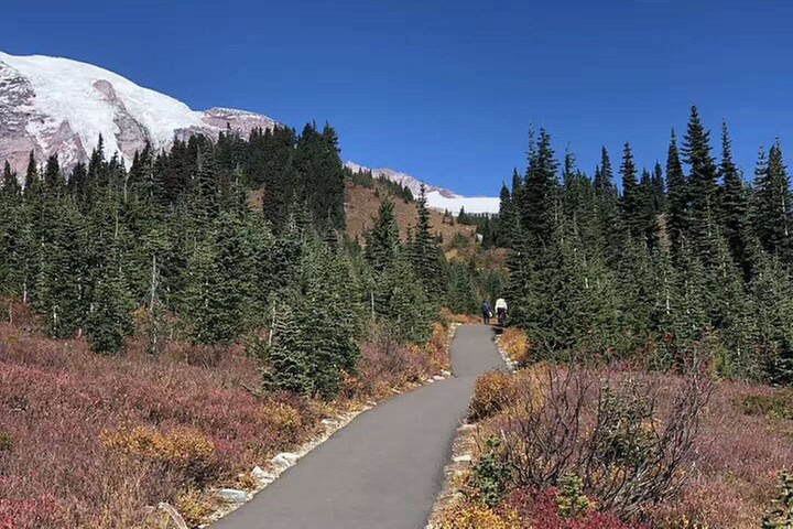Small Group Mt Rainier National Park Day Tour from Seattle 2CanGo