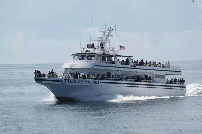 Stargazing Boat Cruise! - Primary Image