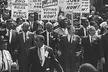 Half-Day Civil Rights Walking Tour in Harlem with Lunch - Second Medium