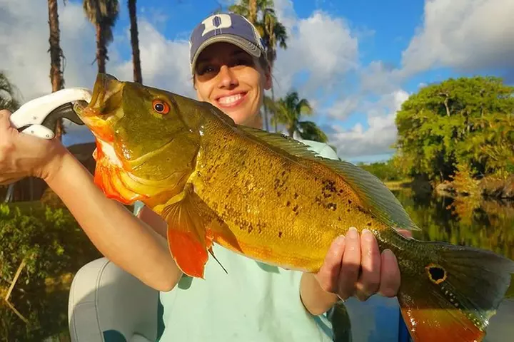 Peacock Bass Fishing Trips Near Miami Florida