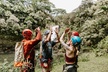 Waterfall Rappelling at Kulaniapia Falls: 120 Foot Drop, 15 Minutes from Hilo - Second Medium