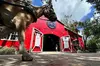 Private Daytime Horse-Drawn Carriage Tour of Charleston