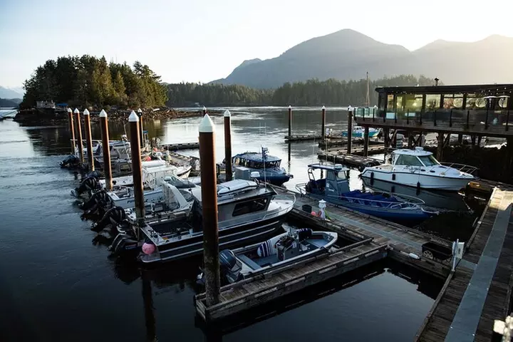 Tofino Fishing and Wildlife Charter - Primary Image