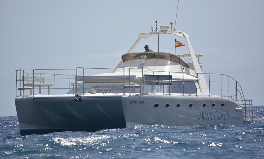 Image 2: Crucero en catamarán de lujo de avistamiento de ballenas y delfines...