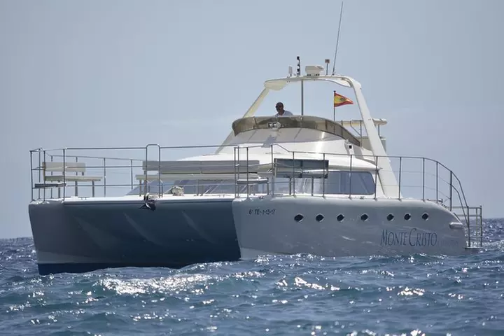 Catamarán de avistamiento de ballenas y delfines con traslado y buffet