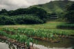 Kualoa Ranch: Malama Experience Tour - Second Medium