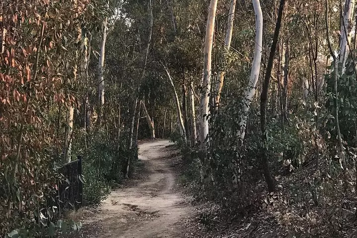 Fullerton Loop eMTB Experience - (Beginner)