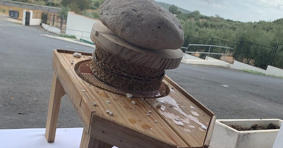 Taller de elaboración artesanal de queso en Córdoba