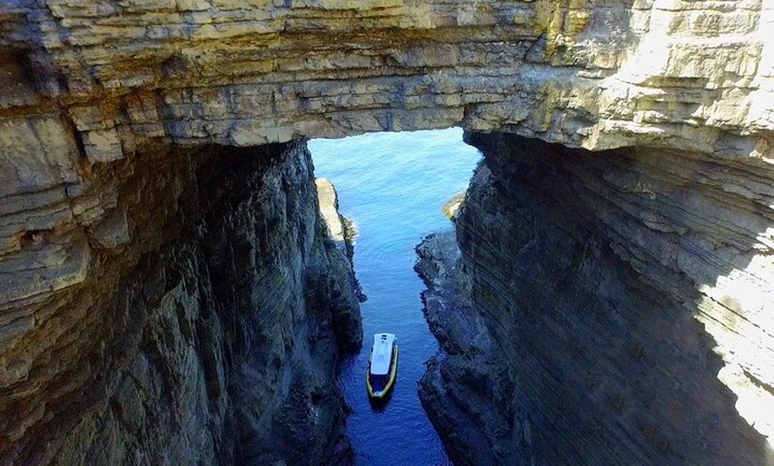 Image 6: Tasman Island Cruises Day Tour from Hobart