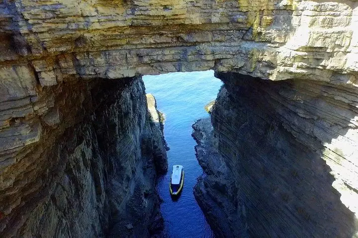 Tasman Island Cruises Day Tour from Hobart