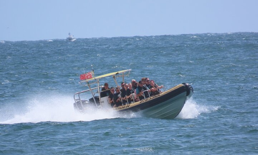 Image 9: Noosa Oceanrider - Ocean Adventure & Noosa National Park tour