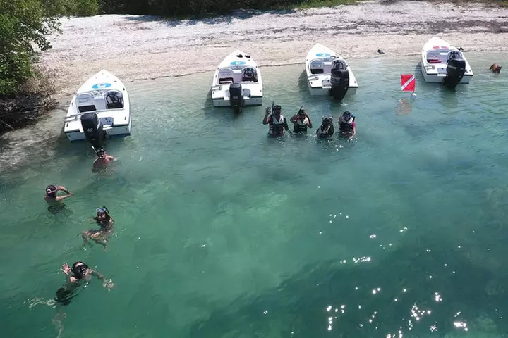 Key West Safari Eco Sandbar Tour Adventure with Snorkeling